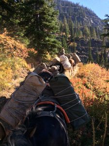Pack train for fall hunt