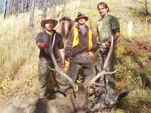 Elk Hunt in Montana