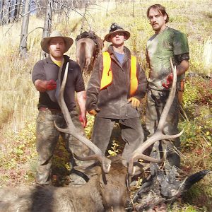 Elk Hunt in Montana