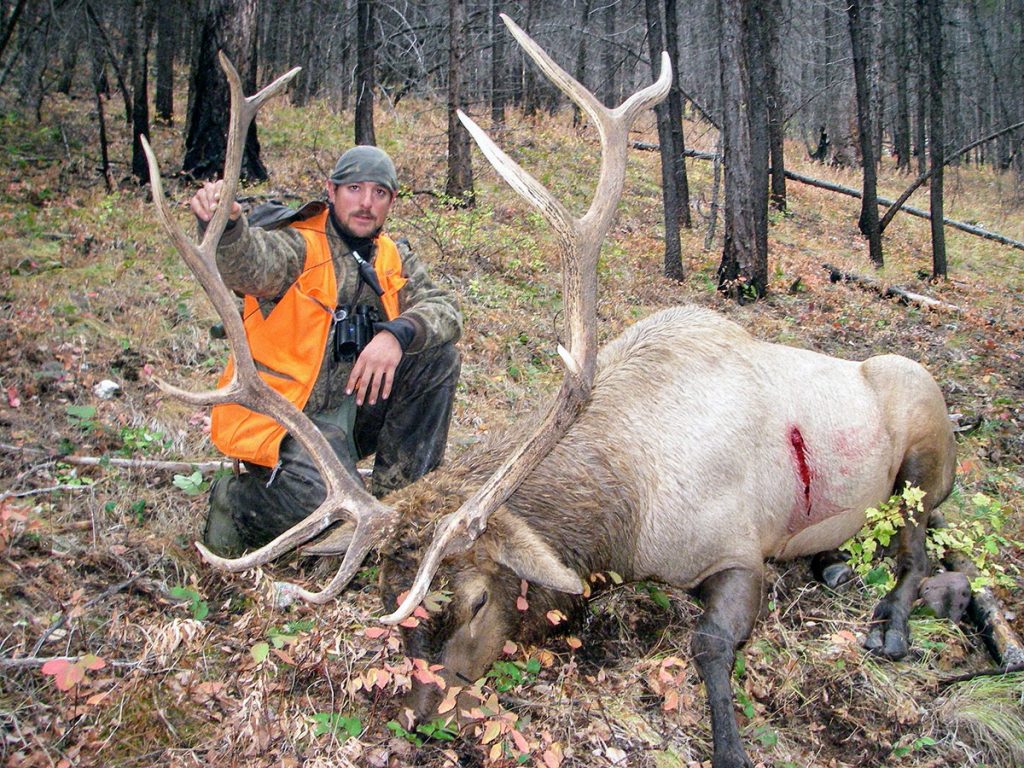 Bob Marshall WIlderness Elk Hunt