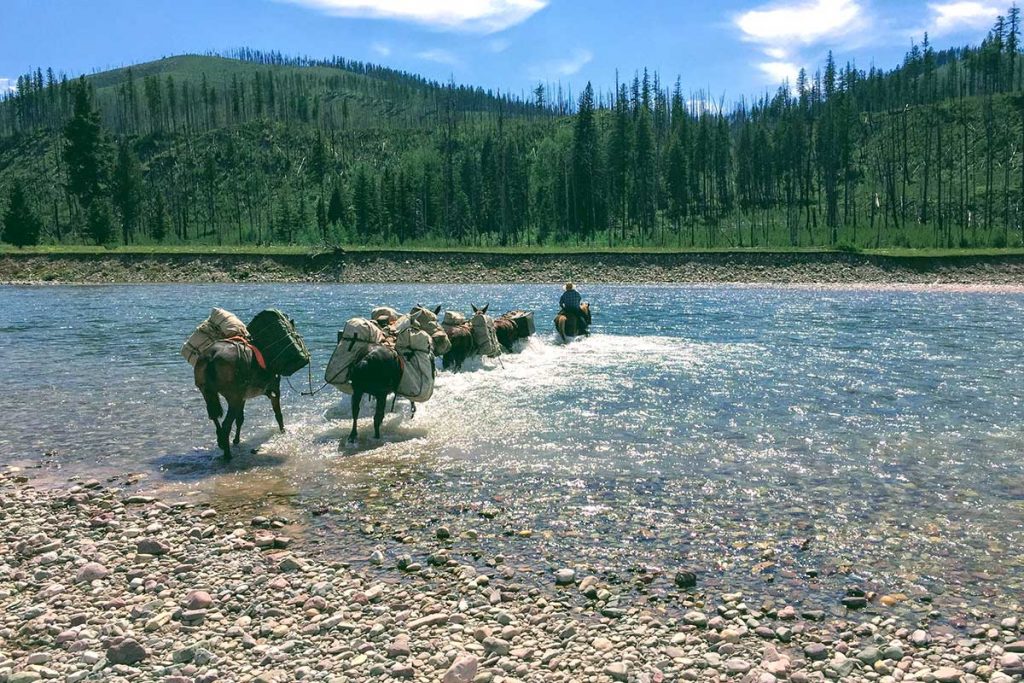 Wilderness Pack Trip Crossing RIver