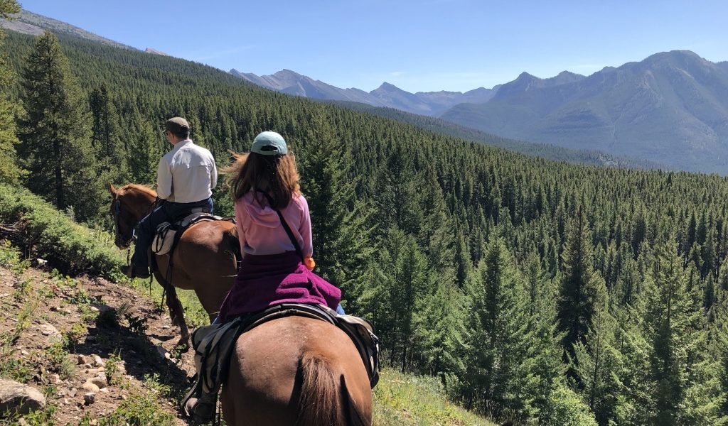 Scenic Horse Pack Trips